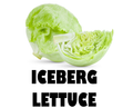 Iceberg Lettuce