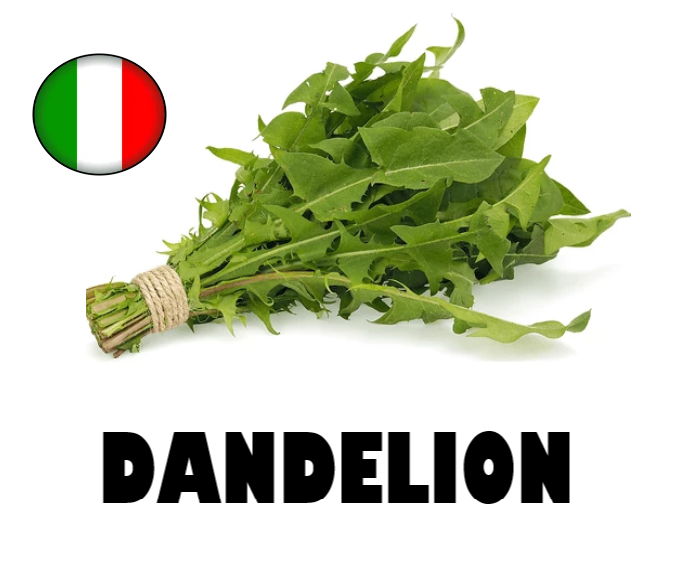 Dandelion Bunch