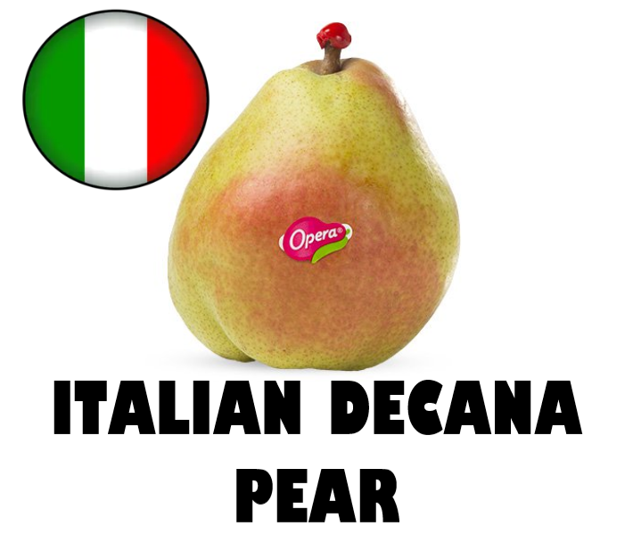 ITALIAN DECANA PEAR