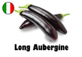 Long Aubergine
