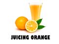 Juicing Orange