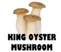 KING OYSTER MUSHROOM - 250g