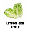 Gem Lettuce Pack