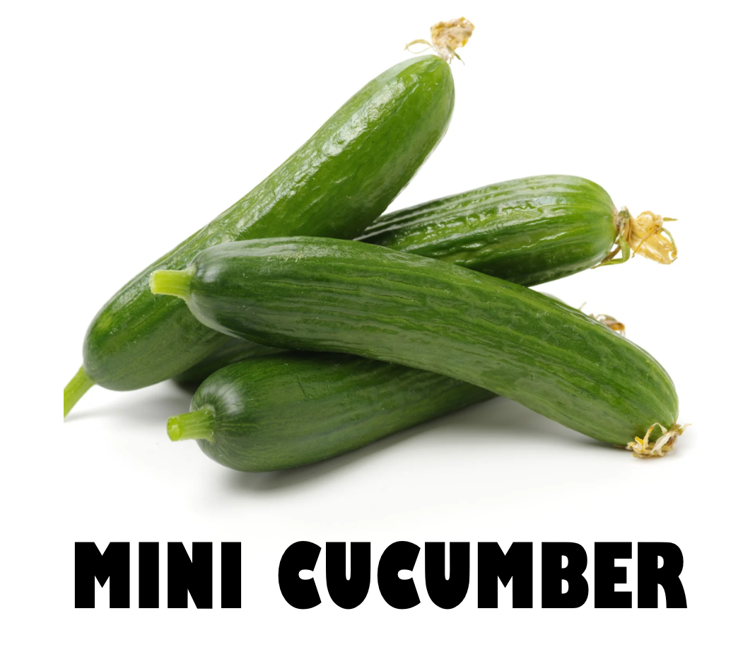 Mini Cucumber - 250g