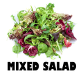 Mixed Salad Pack