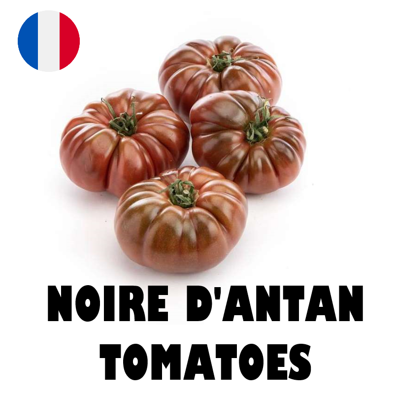 Noire Dantan Tomato - 250g