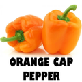 Bell Pepper Orange