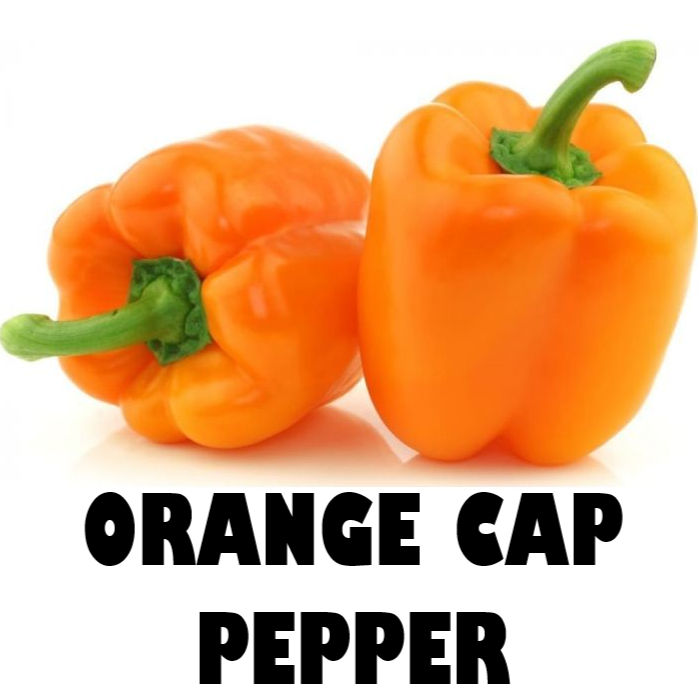 Bell Pepper Orange