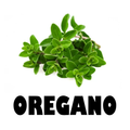 Oregano Pack