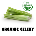 Organic Celelry