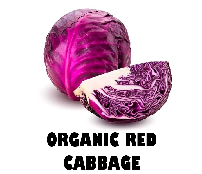 Organic Red Cabbage
