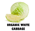 Organic White Cabbage