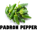 Padron Pepper - 100g