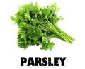 Parsley - Bunch