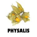 Physalis Pack 100g