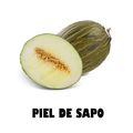Piel De Sapo Melon