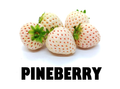 Pineberry Pack - 125g