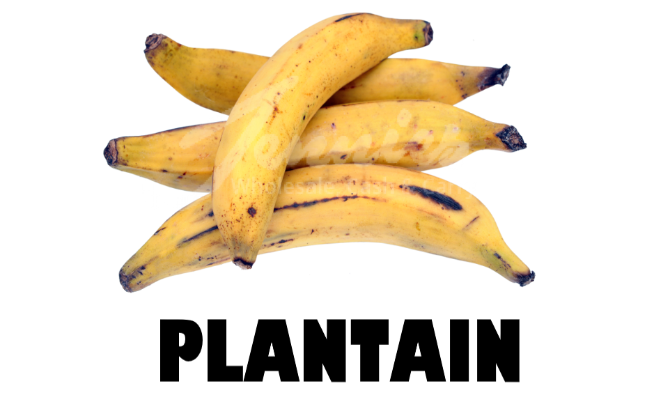 Plantain (Each)