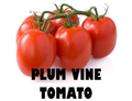 Stem of Plum Tomato