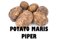 Maris Piper Potato - 250g