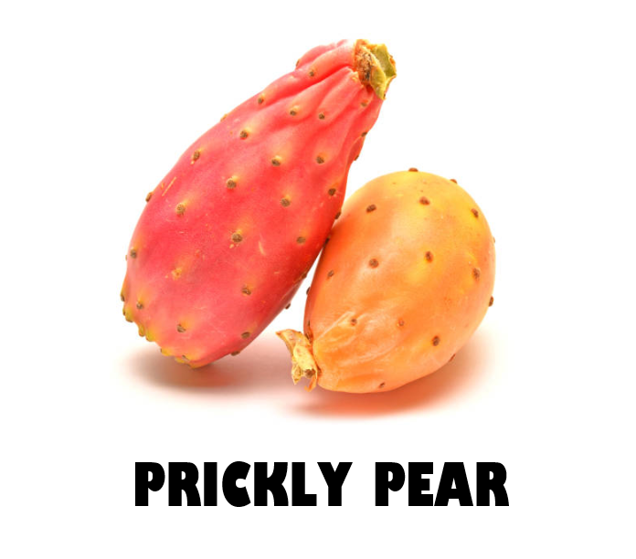 Prickly Pear