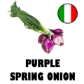 Purple Onion - Bunch