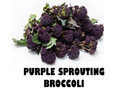 Purple Sprouting Broccoli - 350g