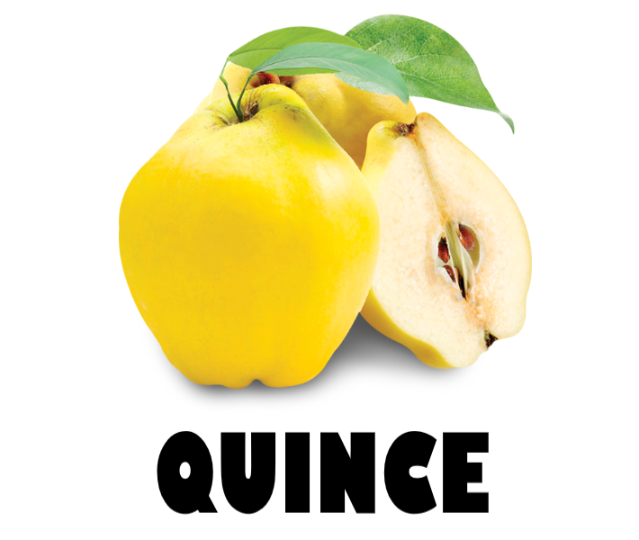 QUINCE