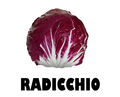 Radicchio - 250g
