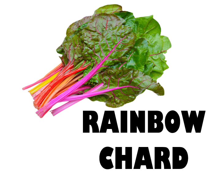 Rainbow Chard Bunch