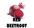 Red Beetroot  - 250g