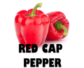 Bell Pepper Red