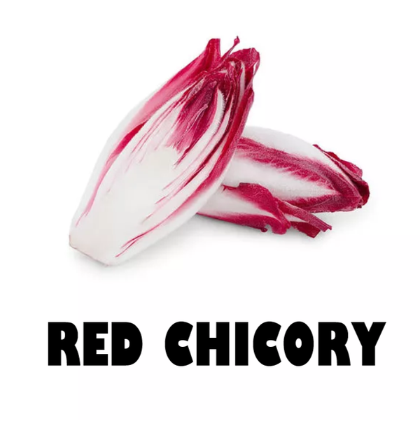 Red Chicory (250g)