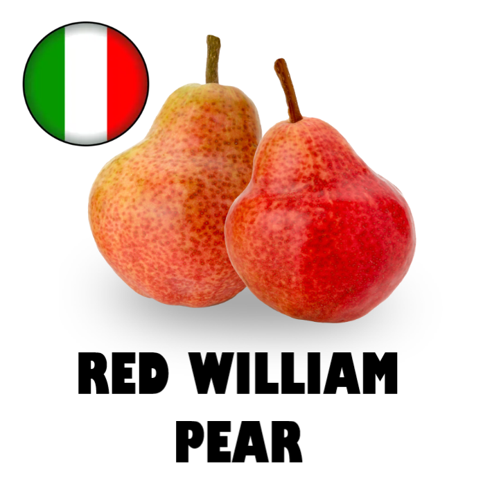 RED WILLIAM PEAR