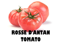 Rosse Dantan Tomato - 250g
