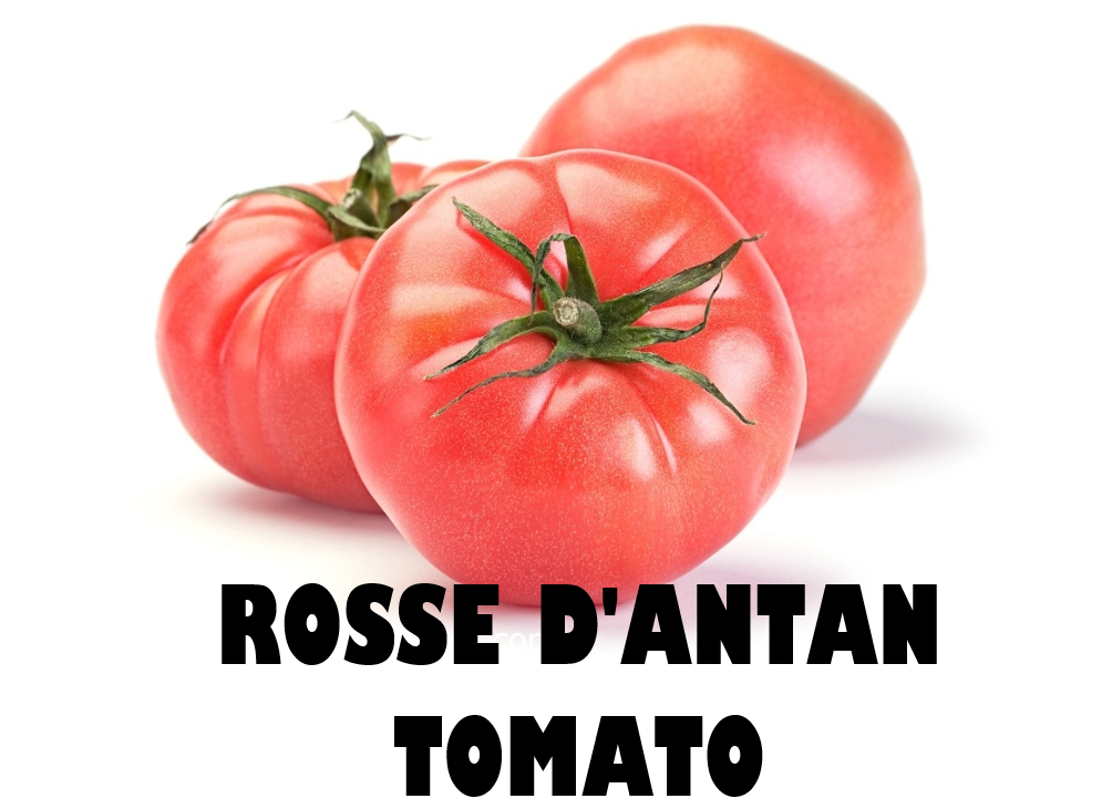 Rosse Dantan Tomato - 250g