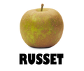Russet Apple