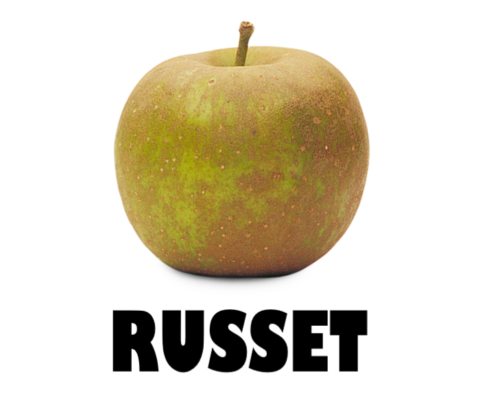 Russet Apple