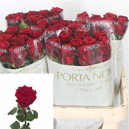 Rose Red Naomi (Batches of 10 stems)