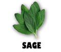 Sage Pack