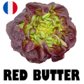 French Red Butter Salad