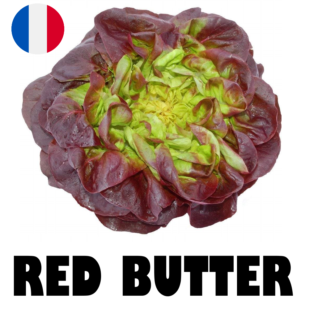 French Red Butter Salad