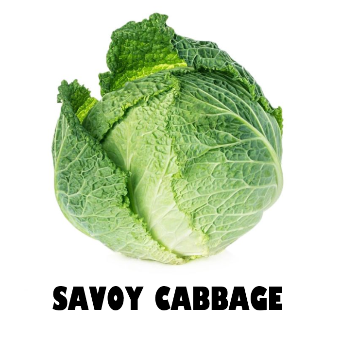 Savoy Cabbage