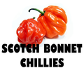Chillies Scotch Bonnet - 100g