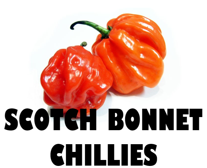 Chillies Scotch Bonnet - 100g