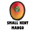 Small Kent Mango
