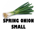 Spring Onion - Bunch