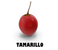Tamarillo
