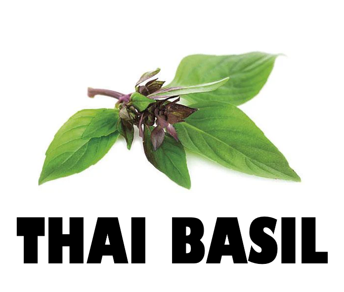 Thai Basil