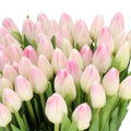 TULIPS DEBORAH (Batches of 10 stems)